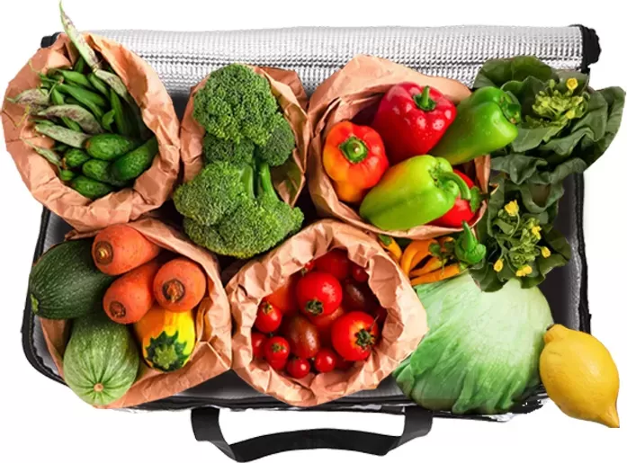 Large-Size-and-Capacity-Perfect-for-Transport-Storage-Grocery-shopping-DBS18-2
