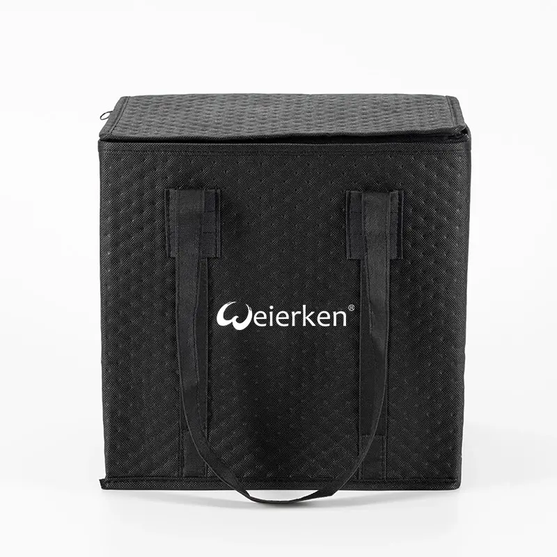 3 Reasons You Should Choose 6-layer Non Woven Cooler Bag For Delivery