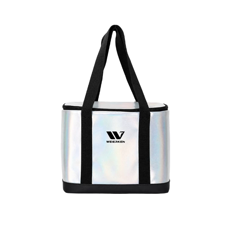 IRIDESCENT COMPACT INSULATED DELIVERY BAG DBS44