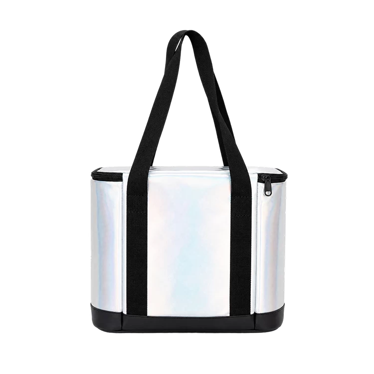 IRIDESCENT COMPACT INSULATED DELIVERY BAG DBS44 6