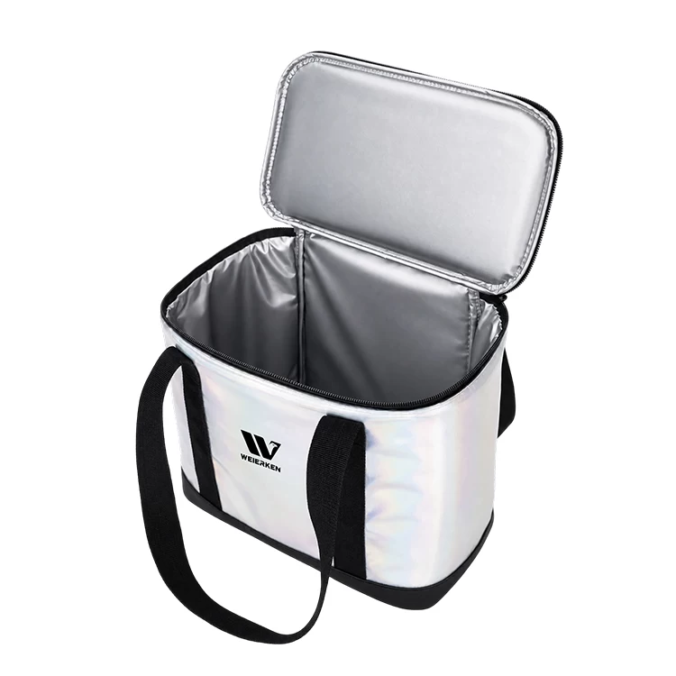 IRIDESCENT COMPACT INSULATED DELIVERY BAG DBS44 5