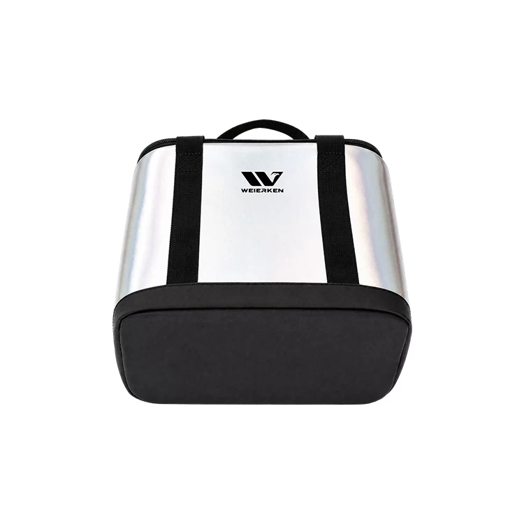 IRIDESCENT COMPACT INSULATED DELIVERY BAG DBS44 4