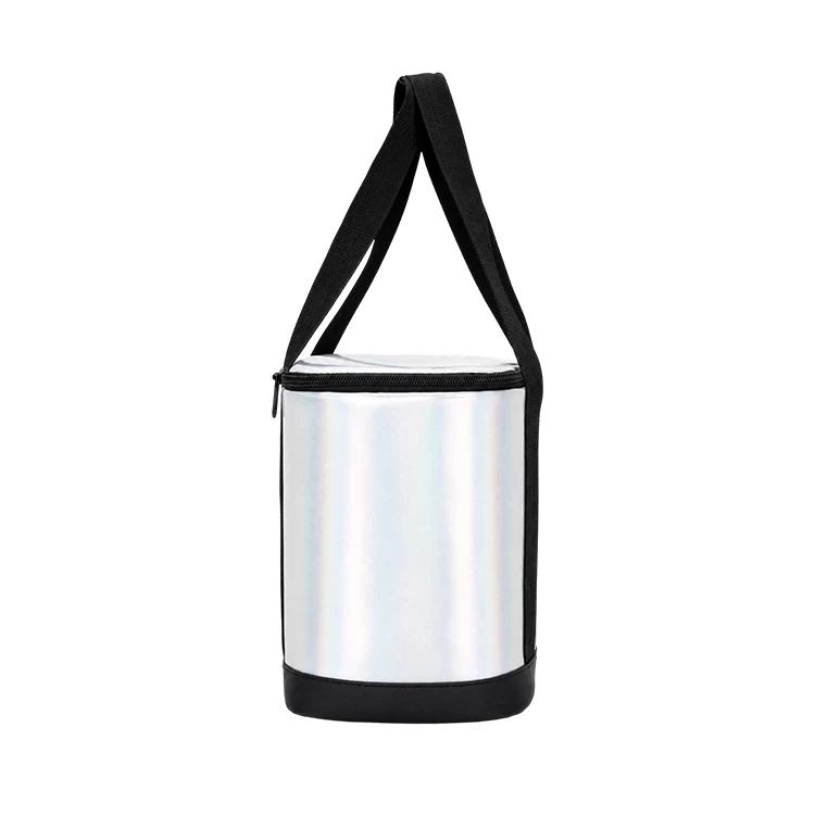 IRIDESCENT COMPACT INSULATED DELIVERY BAG DBS44 3