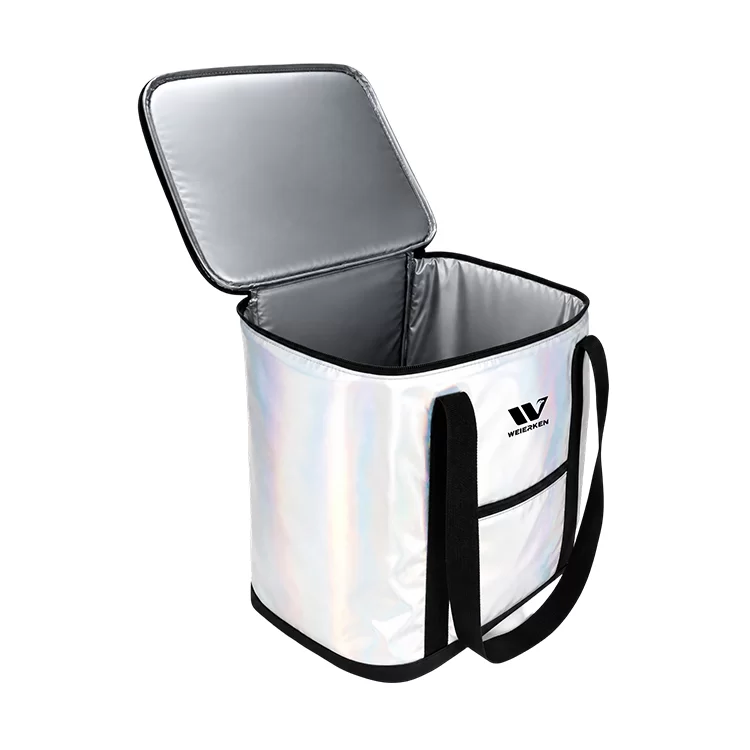 TALL IRIDESCENT INSULATED DELIVERY BAG WITH LABEL POCKET DBS45 6