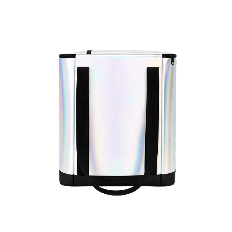 TALL IRIDESCENT INSULATED DELIVERY BAG WITH LABEL POCKET DBS45 5