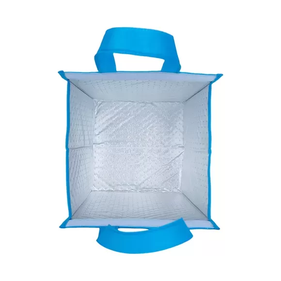 Eco-Friendly Non-Woven Delivery Bag With Velcro Closure DBS22 5