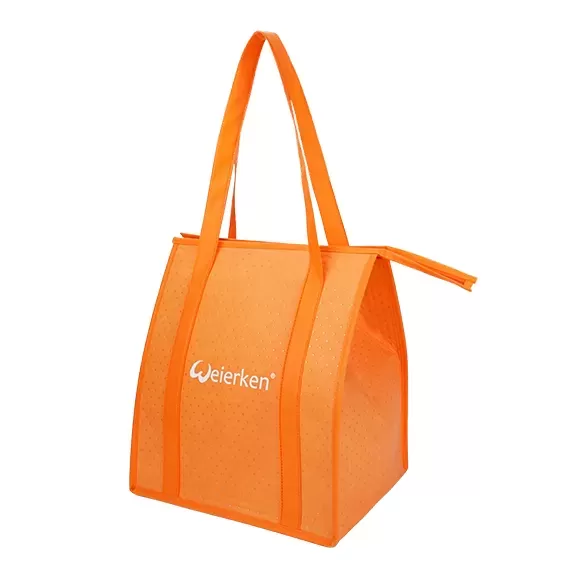 Sturdy Large Capacity Thermal Food Delivery Bag DBS23 2