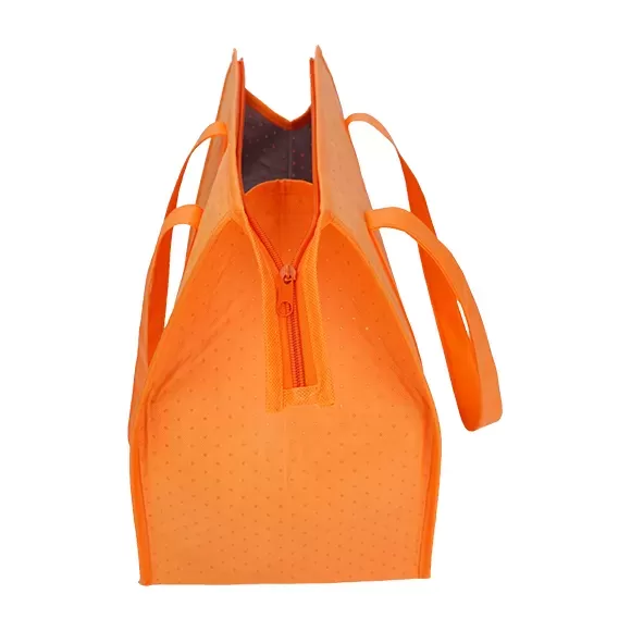 Sturdy Large Capacity Thermal Food Delivery Bag DBS23 3