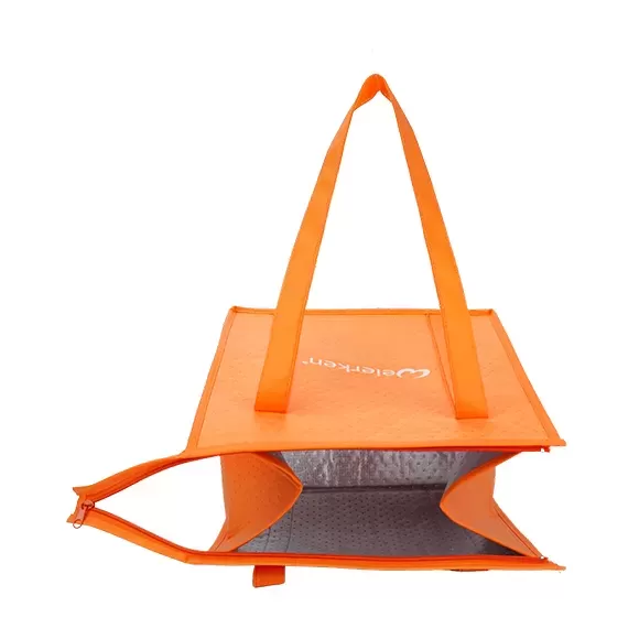 Sturdy Large Capacity Thermal Food Delivery Bag DBS23 4