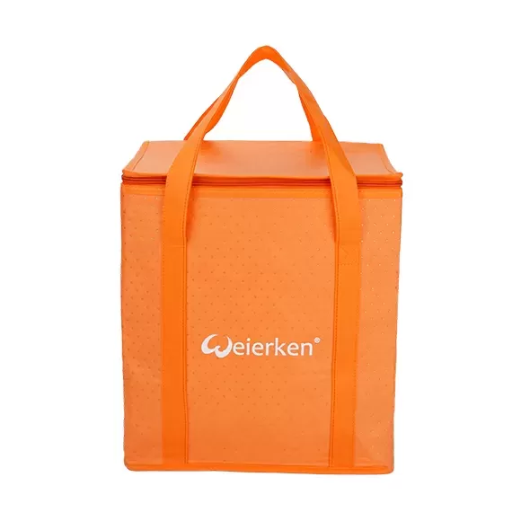 Sturdy Large Capacity Thermal Food Delivery Bag DBS24