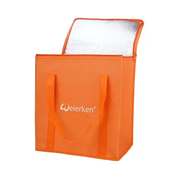 Sturdy Large Capacity Thermal Food Delivery Bag DBS24 2