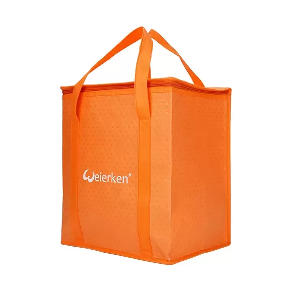 Sturdy Large Capacity Thermal Food Delivery Bag DBS24 3