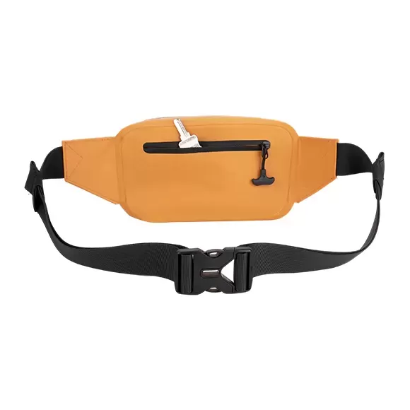 2.5L Waterproof Waist Bag 4