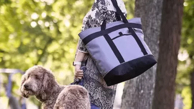 Women&rsquo;s Camping Bags: Designs and Features to Meet the Needs of &hellip;
