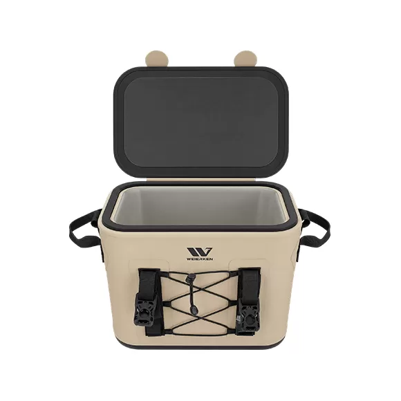 10L PORTABLE MAGNETIC-CLOSURE INSULATED COOLER BAG C05-26SS 3