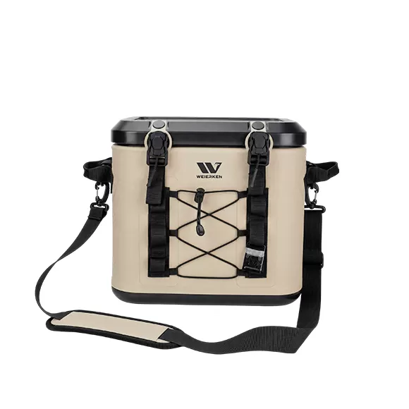 10L PORTABLE MAGNETIC-CLOSURE INSULATED COOLER BAG C05-26SS